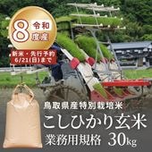 ����8ǯ�ٻ������ơ����ͽ���Ļ�踩�� ���̺����� �����Ҥ��긼�� ��̳�� 30kg�ʤ��ҤȤ���2�ޤޤǤ���ʸ�ġ�