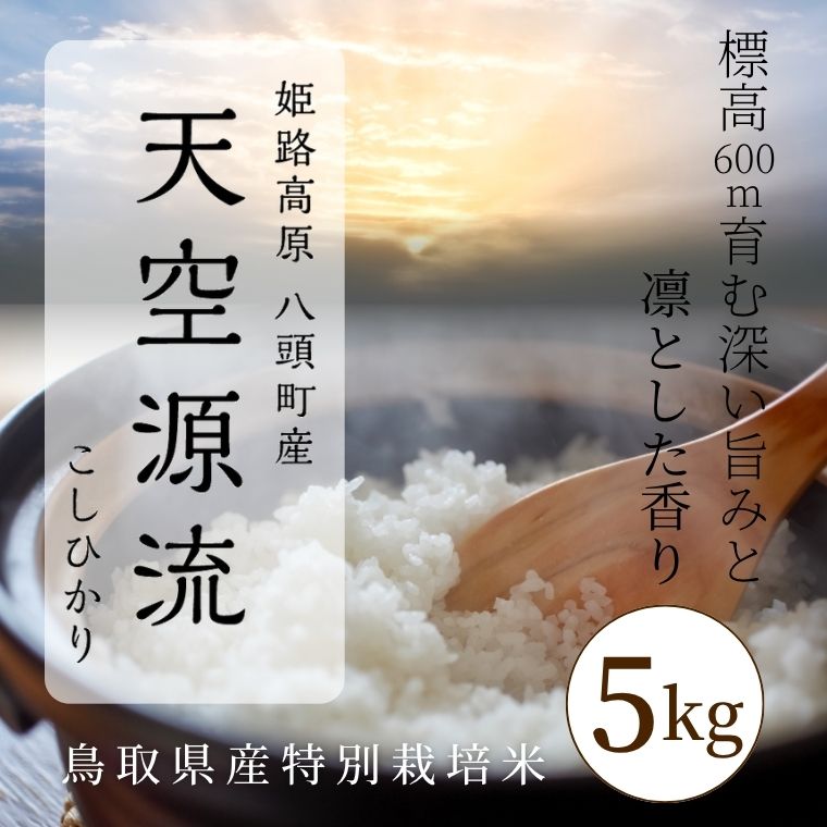 11ܤ缡ȯ 7ǯٻͽŷή꡼Ҥ5kg