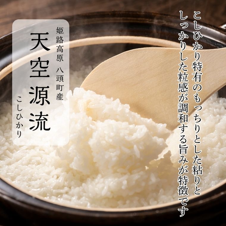 11ܤ缡ȯ 7ǯٻͽŷή꡼Ҥ5kg