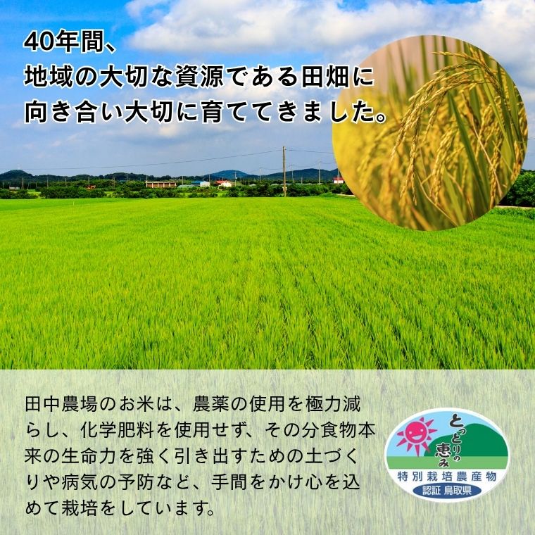 11ܤ缡ȯ 7ǯٻͽŷή꡼Ҥ5kg