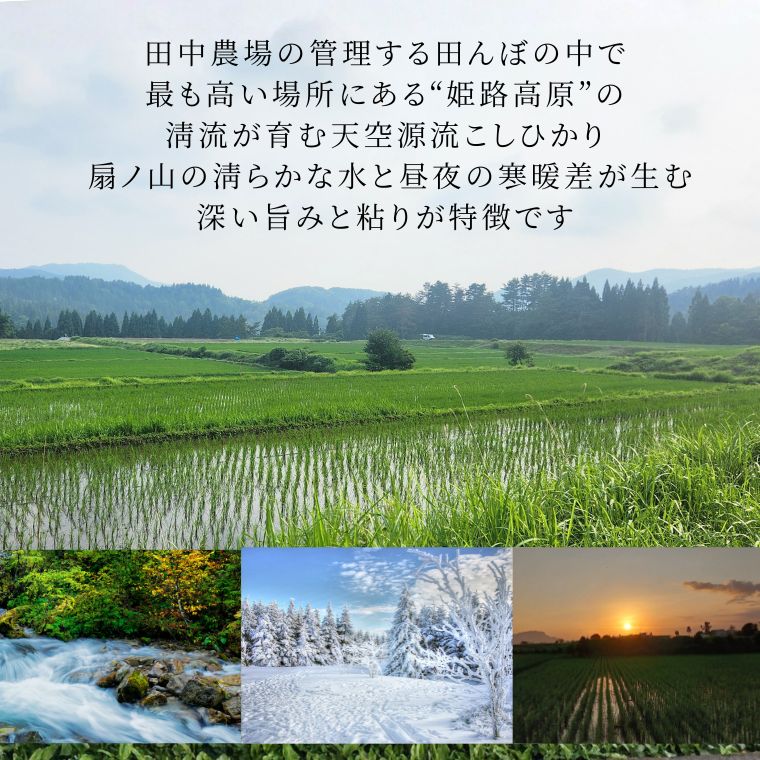 11ܤ缡ȯ 7ǯٻͽŷή꡼Ҥ5kg