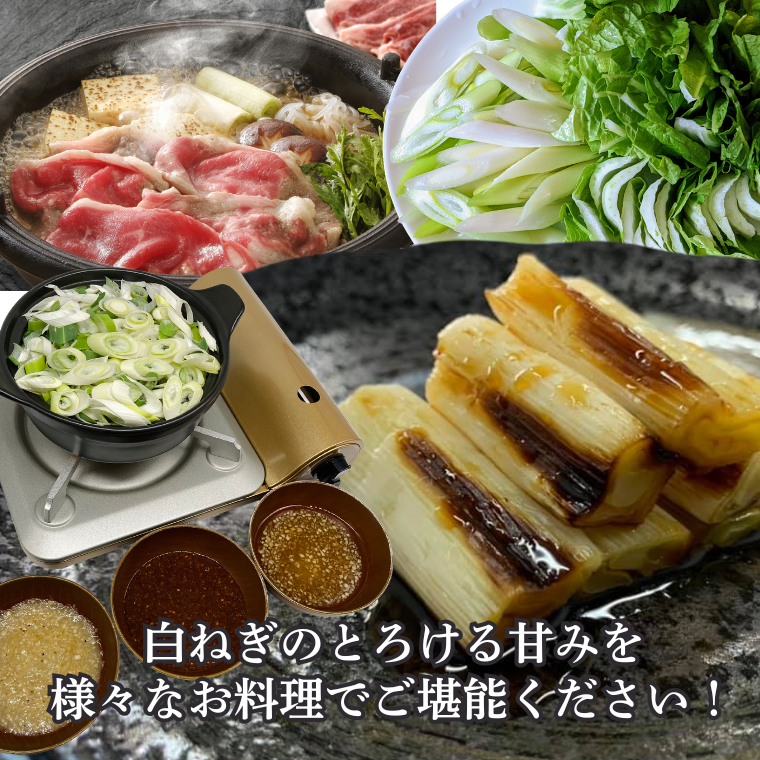 �����������ͤ� 1������2������3���� �ڴŤߤ�����Ĺ�ͤ��� ����ľ������������