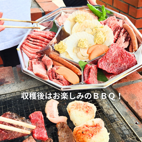 �񻺥ۥå׼����θ����BBQ�ò����ӡ���ˤ�Ȥ���ۥå�Ȫ��ˬ�ͤ������BBQ�����������դ���