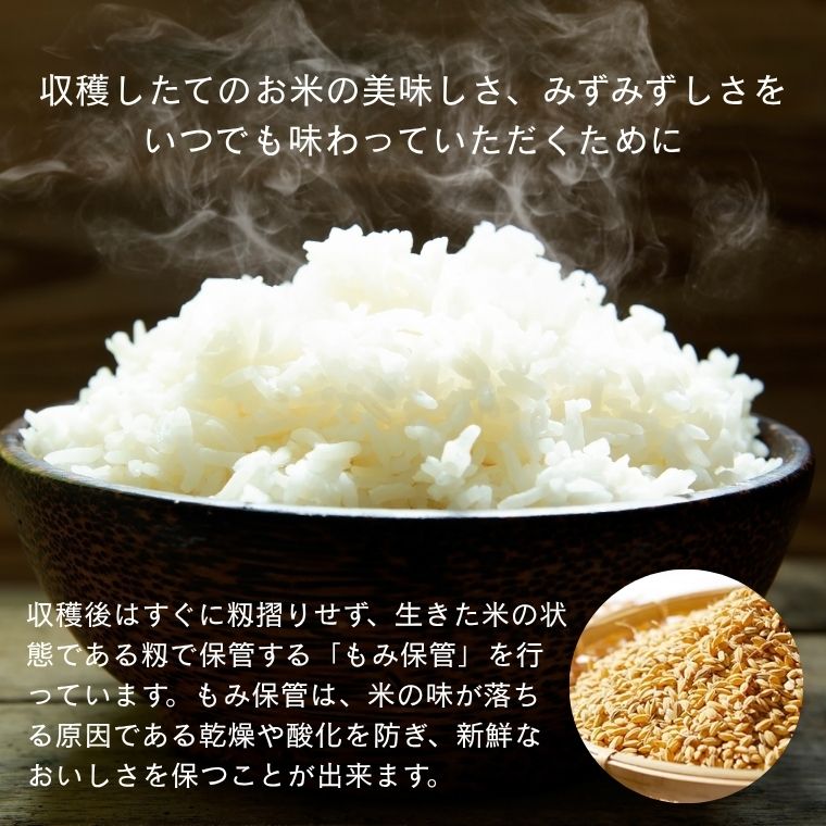 ������7ǯ�ٻ��ϴ��䤷�ޤ���������7ǯ�ٻ������ơ����ͽ���Ļ�踩�� ���̺����� �����Ҥ��긼�� ��̳�� 30kg�ʤ��ҤȤ���2�ޤޤǤ���ʸ�ġ�