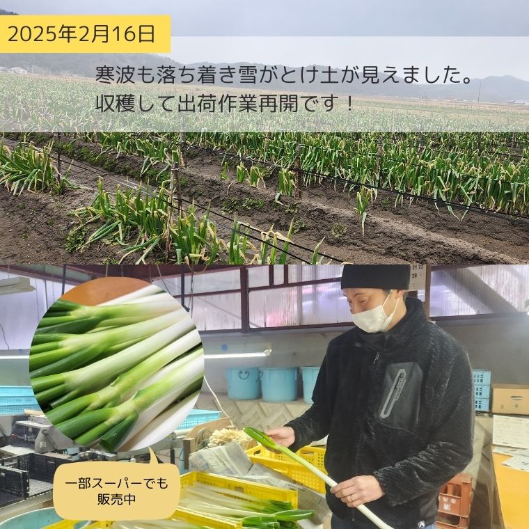 ˴ͤڴUP 123 餫ƴŤߤĹͤ ľ