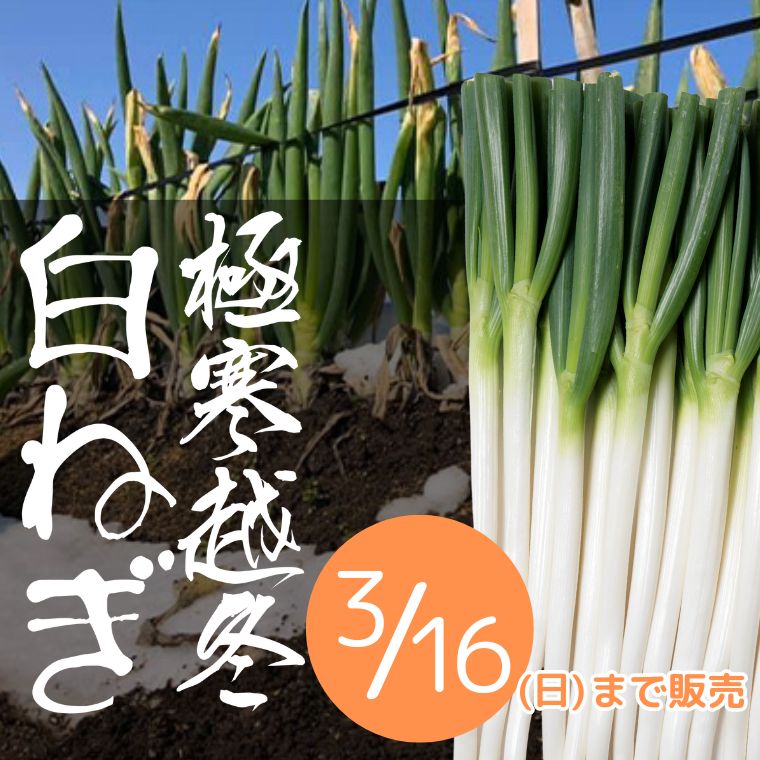 ˴ͤڴUP 123 餫ƴŤߤĹͤ ľ