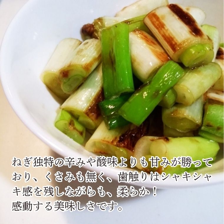˴ͤڴUP 123 餫ƴŤߤĹͤ ľ