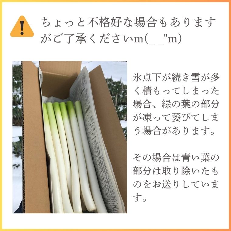 ˴ͤڴUP 123 餫ƴŤߤĹͤ ľ