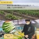 ˴ͤڴUP 123 餫ƴŤߤĹͤ ľ