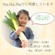 ˴ͤڴUP 123 餫ƴŤߤĹͤ ľ