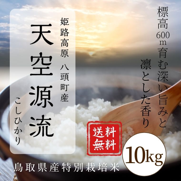 11ܤ缡ȯ 7ǯٻͽŷή꡼Ҥ10kg