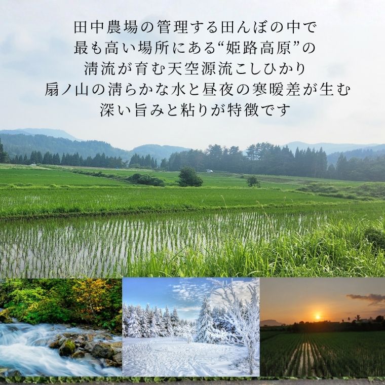 11ܤ缡ȯ 7ǯٻͽŷή꡼Ҥ10kg