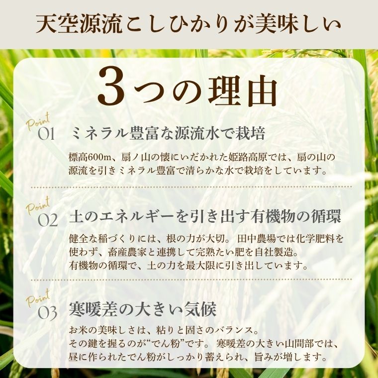 11ܤ缡ȯ 7ǯٻͽŷή꡼Ҥ10kg