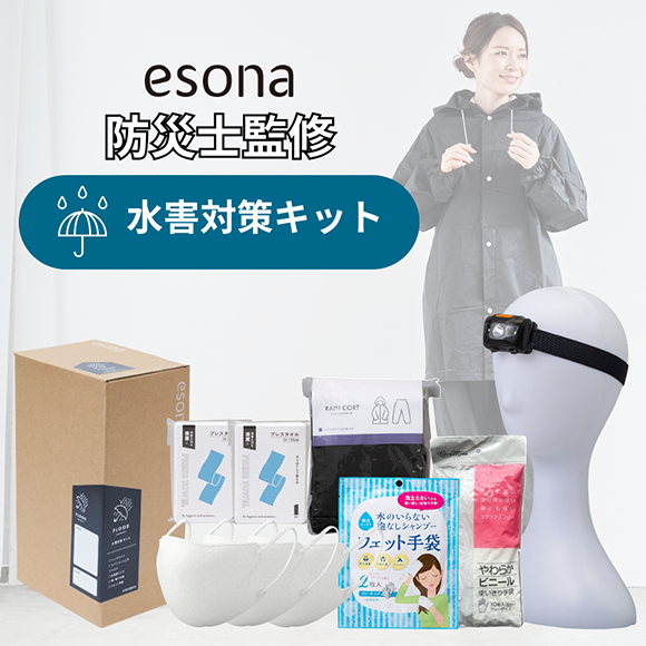 �峲�к� ���å� �ɺһδƽ�  esona 11-300A
