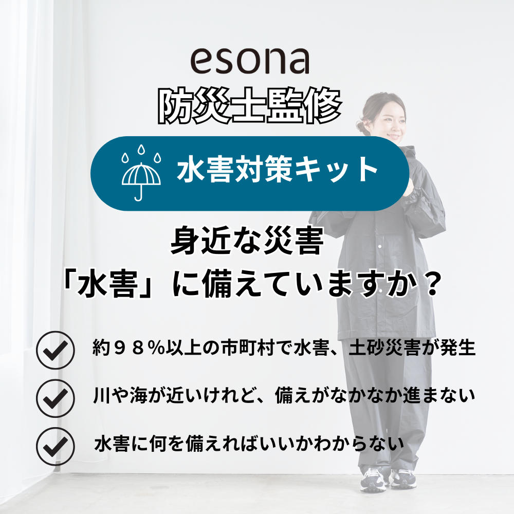 �峲�к� ���å� �ɺһδƽ�  esona 11-300A