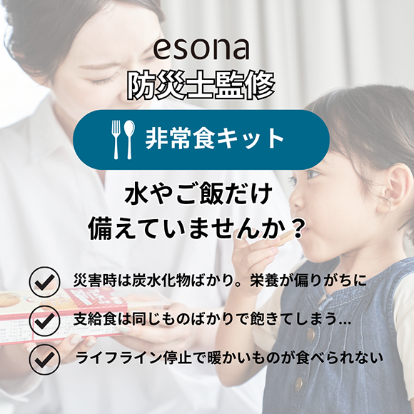 ��￩ ���å� �ɺһδƽ�  esona 11-300B