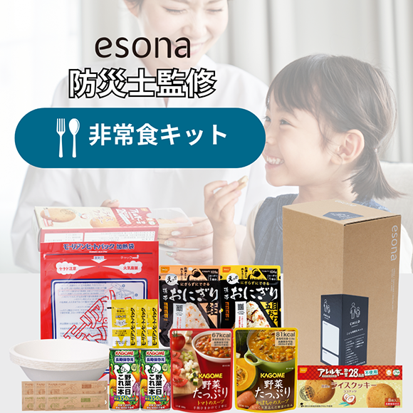 ��￩ ���å� �ɺһδƽ�  esona 11-300B
