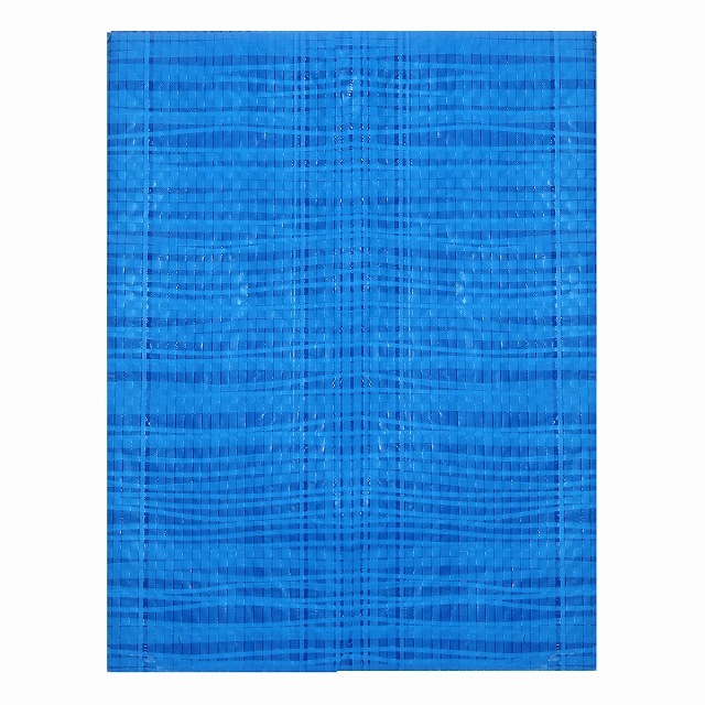 �֥롼������ 1.8��1.8��