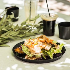 ��ideaco�� usumono plate24 �֥�å�