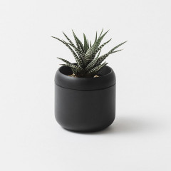 PLANT POT HACHI ץȥݥå ϥ 2