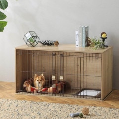 �ڥ����ꥹ������ޡۥե��˥��㡼�ڥåȥ�������NFPC-1200