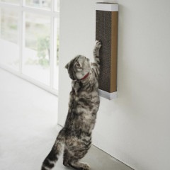 ��tower�� �Ф����ܡ������б���������ǭ���ޤȤ��ۥ����