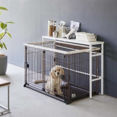 ��tower�� ���̥ڥåȥ��������å�