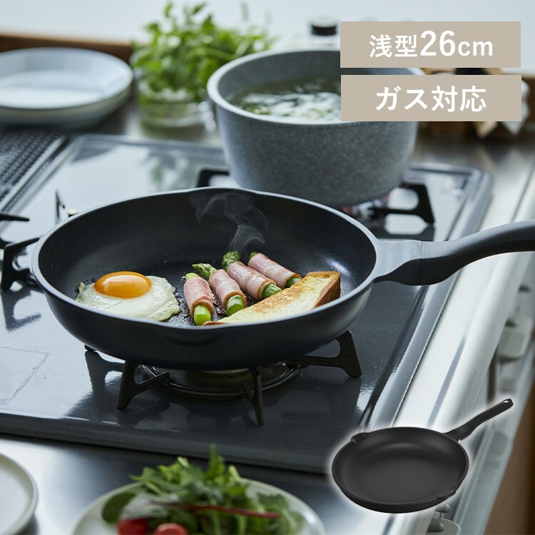 ���̥ե饤�ѥ� 26cm ���� GVL-F26