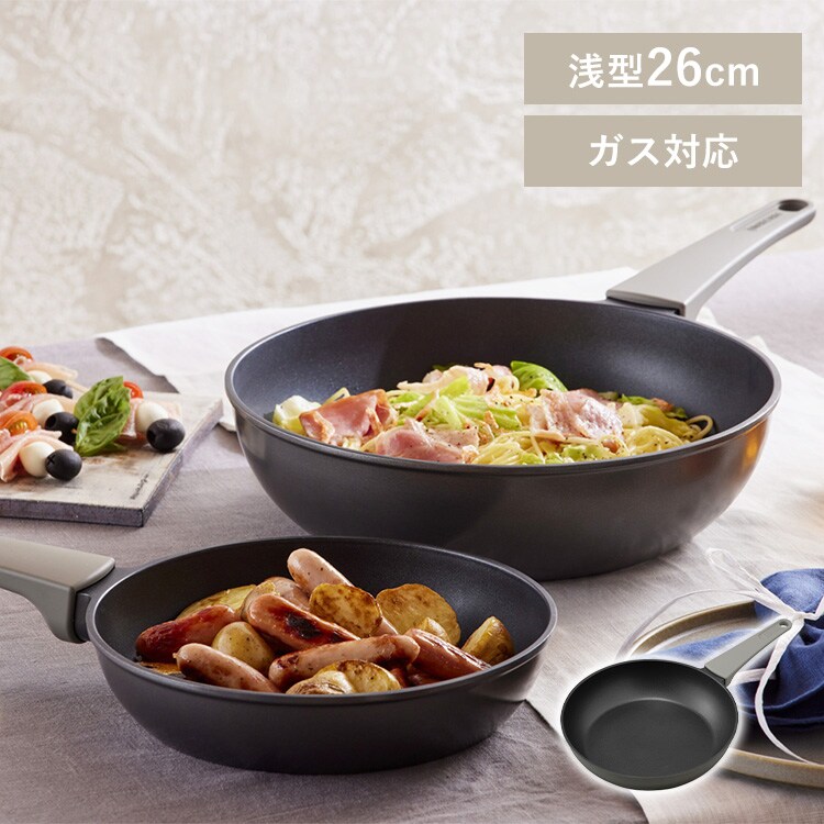 ��ü���η��ե饤�ѥ� ���� 26cm DCF-G26