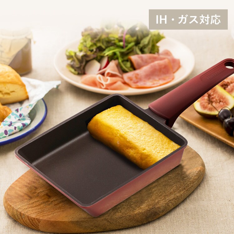 ��ü���η����å��ѥ� DCEG-I