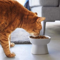 ��tower�� ���٤䤹���⤵ƫ��ڥåȥա��ɥܥ���