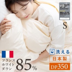 ���ӤդȤ� �������� �����󥱥å� �ե��WDD85%0.2kg ���󥰥� ̵�ϥ١�����