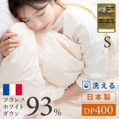 ���ӤդȤ� �������� �����󥱥å� �ե��WDD93%0.2kg ���󥰥� ̵�ϥ١�����