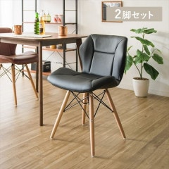 �ǥ���������˥󥰥�����2�ӥ��å� DDC2S-75