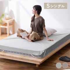 Ʃ���ɿ奷���� FLS-TCST-S ���󥰥륵����