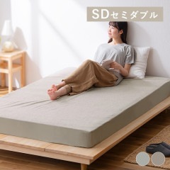 Ʃ���ɿ�ܥå��������� BXS-TCST-SD ���ߥ��֥륵����