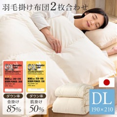 2���碌���ӳݤ����� �ۥ磻�ȥ��å������� ���֥� WDD50%85% �١�����
