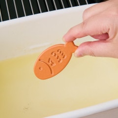 �����äȤ�����Τ����