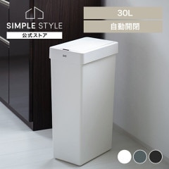 Ȣ å󥰥饤ȥ󥵡ӥ 30L EK6277P-30L