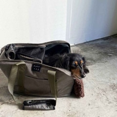 ��PUFF�ۥڥåȥ���꡼�ȡ��� L