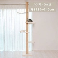 ���Фꥢ������å���� �ϥ��å�������