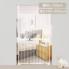 �ˤ��ɥ��ǥ�å������ۥ磻��