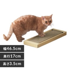 ǭ���ޤȤ� ����ॿ���� NTST-1P���ʥ�����