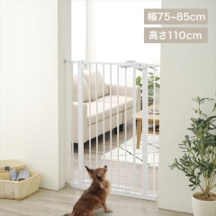 ��������ڥåȥ����ȡ��ۥ磻��