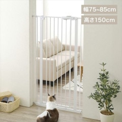 ��������ڥåȥ����� �⤵150�ѡ��ۥ磻��