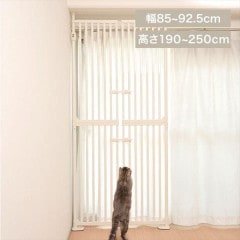 �ˤ��ɥ����ۥ磻��