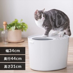 �夫��ǭ�ȥ��� �ץ� PUNT-430�������ܥ꡼