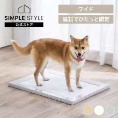 ���������ɥå��ȥ졼 �磻�� SQDT-616W���ۥ磻��