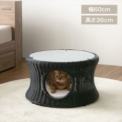 �ڥåȥϥ������ơ��֥�ݷ������֥�å�
