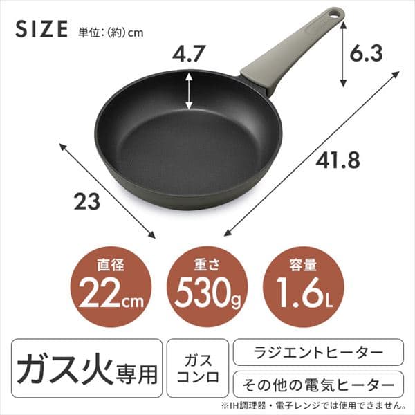 üηե饤ѥ  22cm DCF-G22